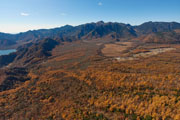 nikko6